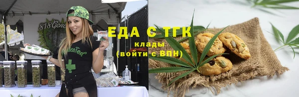 гашик Мегион