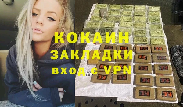 гашик Мегион