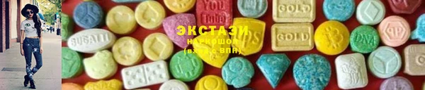 гашик Мегион