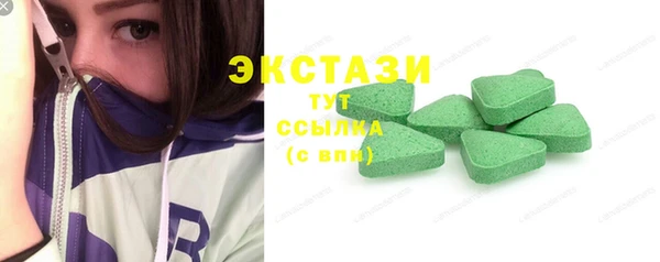 гашик Мегион
