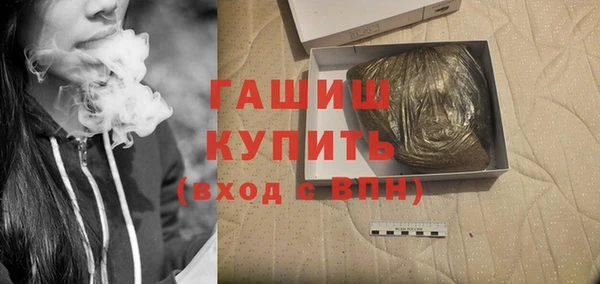 гашик Мегион