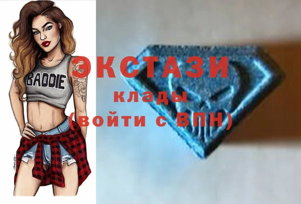гашик Мегион